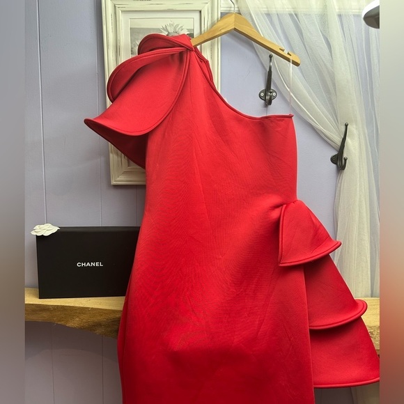 Gorgeous plus size dress - Picture 13 of 16